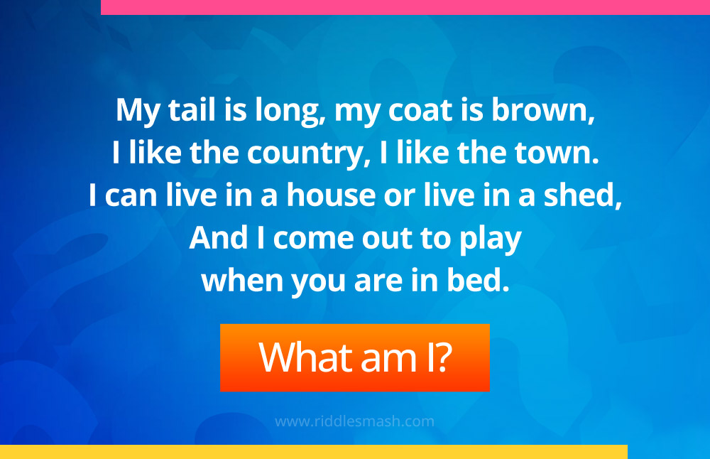 My tail is long, my coat is brown, I like the country, I like the town. I can live in a house or live in a shed, And I come out to play when you are in bed.