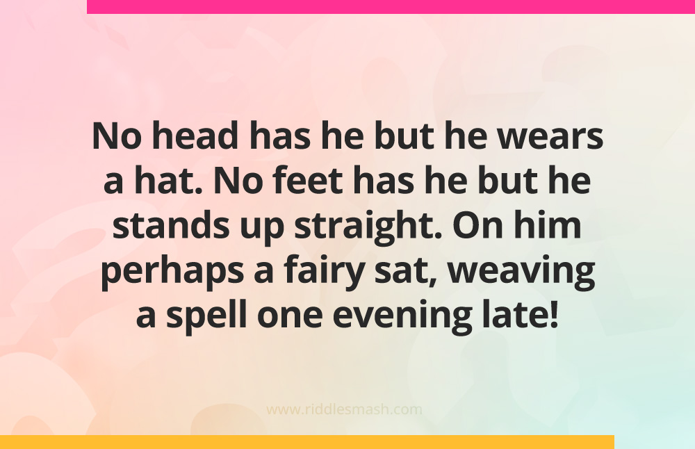 No head has he but he wears a hat. No feet has he but he stands up straight. On him perhaps a fairy sat, weaving a spell one evening late!
