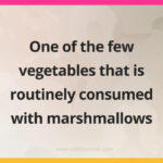 One of the few vegetables that is routinely consumed with marshmallows.