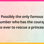 Possibly the only famous plumber who has the courage to ever to rescue a princess.