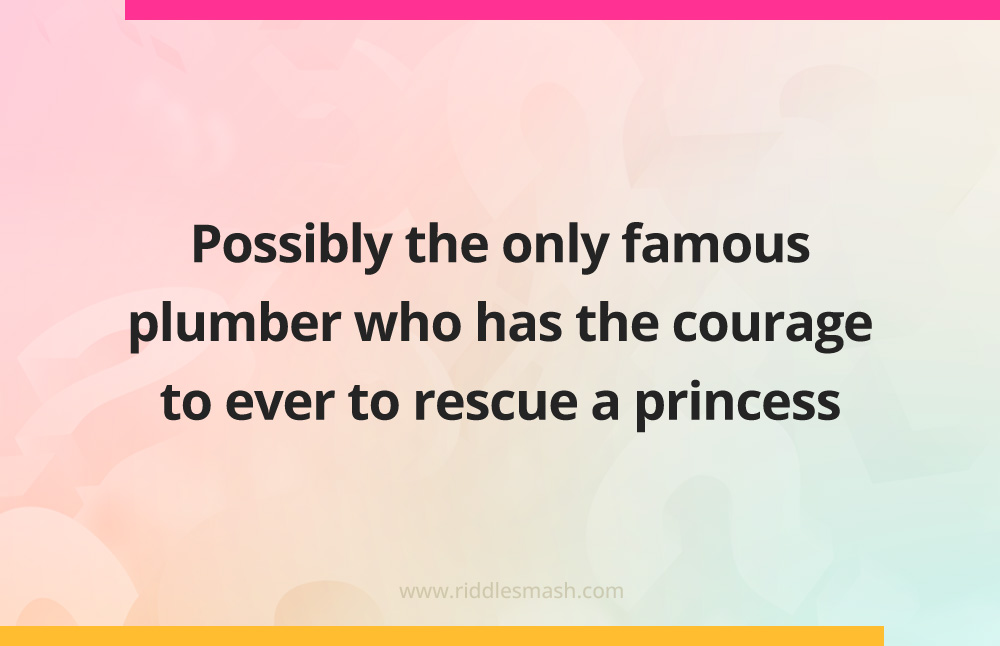 Possibly the only famous plumber who has the courage to ever to rescue a princess.