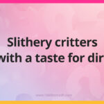 Slithery critters with a taste for dirt.