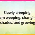 Slowly creeping, I am weeping, changing shades, and growing.