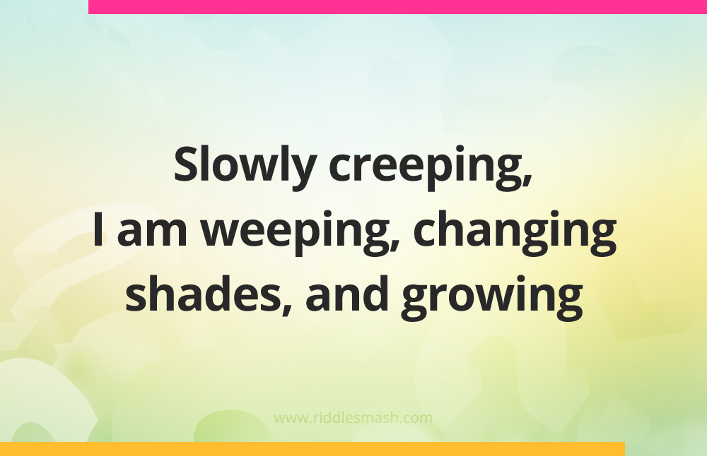 Slowly creeping, I am weeping, changing shades, and growing.