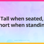 Tall when seated, short when standing.