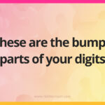These are the bumpy parts of your digits.