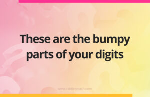 These are the bumpy parts of your digits.