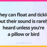 They can float and tickle, but their sound is rarely heard unless you're a pillow or bird.