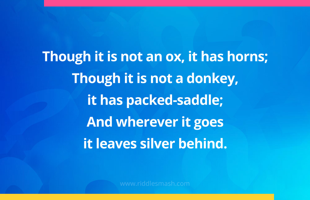 Though it is not an ox, it has horns; Though it is not a donkey, it has packed-saddle; And wherever it goes it leaves silver behind. 