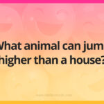 What animal can jump higher than a house?