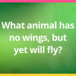 What animal has no wings, but yet will fly?