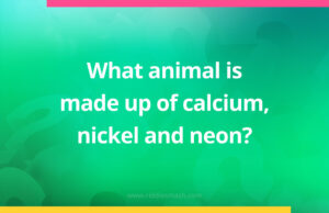 What animal is made up of calcium, nickel and neon?