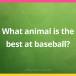 What animal is the best at baseball?