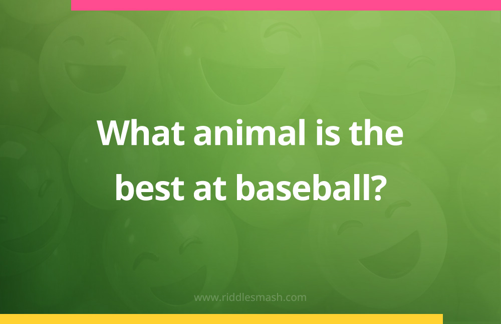 What animal is the best at baseball?
