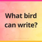 What bird can write?