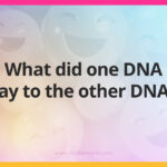 What did one DNA say to the other DNA?