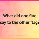 What did one flag say to the other flag?