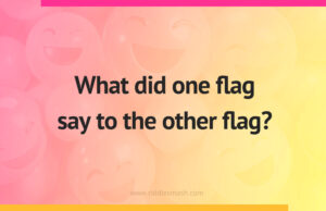 What did one flag say to the other flag?