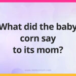 What did the baby corn say to its mom​?