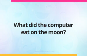 What did the computer eat on the moon?