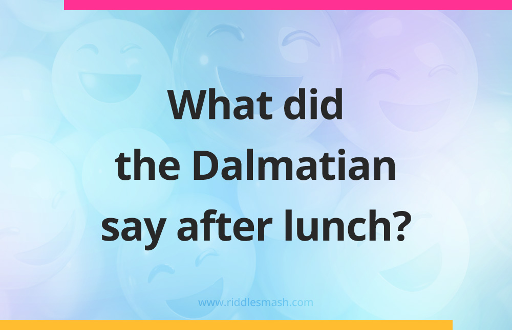 What did the Dalmatian say after lunch?
