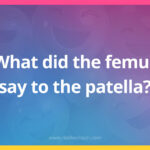 What did the femur say to the patella?