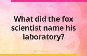 What did the fox scientist name his laboratory?