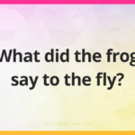 What did the frog say to the fly?