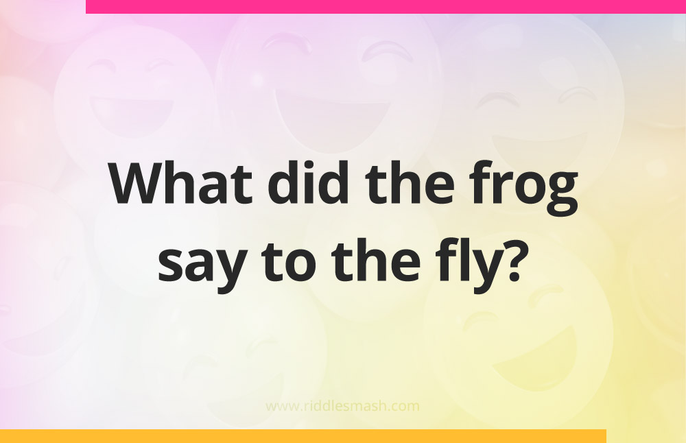 What did the frog say to the fly?