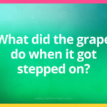 What did the grape do when it got stepped on?