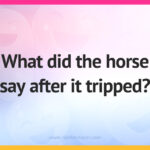 What did the horse say after it tripped?