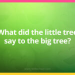 What did the little tree say to the big tree?