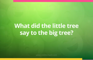 What did the little tree say to the big tree?