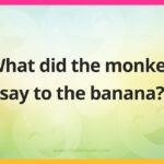 What did the monkey say to the banana?
