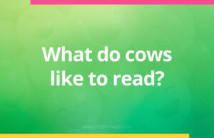 What do cows like to read?