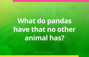 What do pandas have that no other animal has?