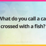 What do you call a cat crossed with a fish?