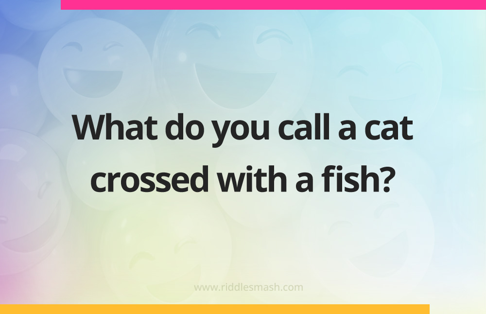 What do you call a cat crossed with a fish?