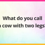 What do you call a cow with two legs?