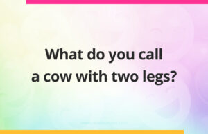 What do you call a cow with two legs?