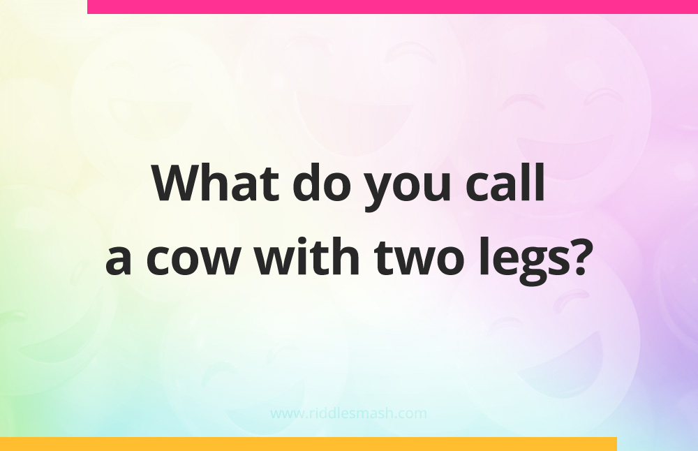 What do you call a cow with two legs?