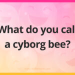 What do you call a cyborg bee?