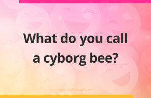 What do you call a cyborg bee?