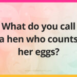 What do you call a hen who counts her eggs?