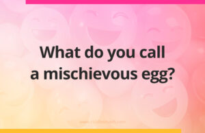 What do you call a mischievous egg?
