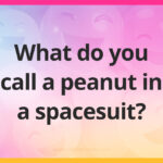 What do you call a peanut in a spacesuit?