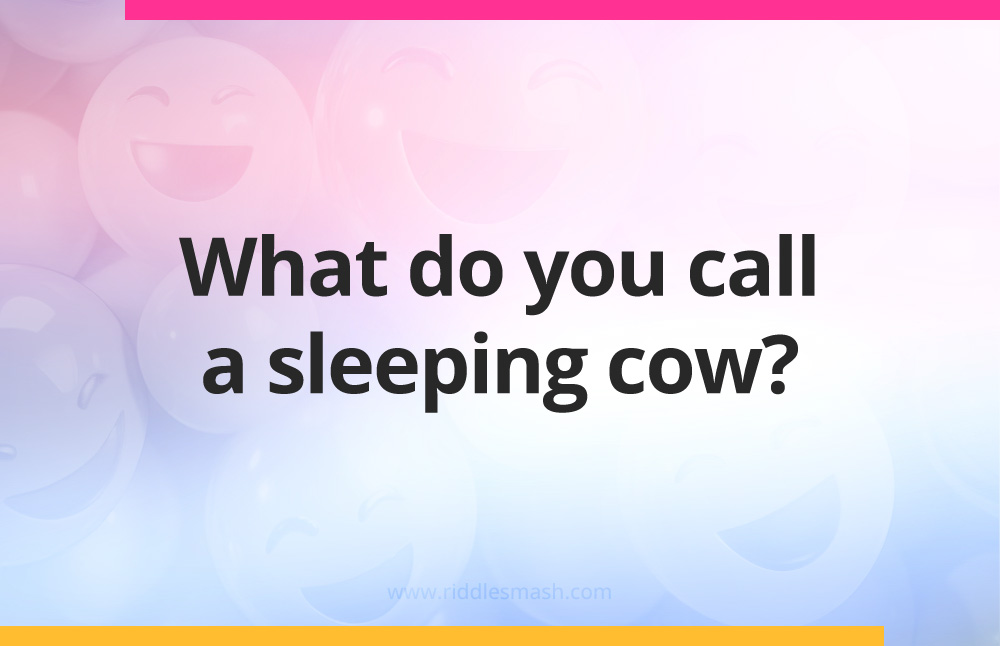 What do you call a sleeping cow?