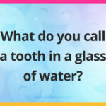 What do you call a tooth in a glass of water?