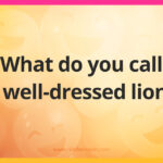 What do you call a well-dressed lion?