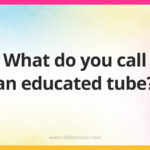 What do you call an educated tube?